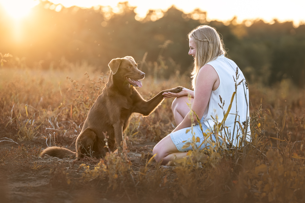 Foto von Lisa Werner Fotografie, Hund und Mensch, Frau sitzt neben einem Labrador im Sonnenuntergang
