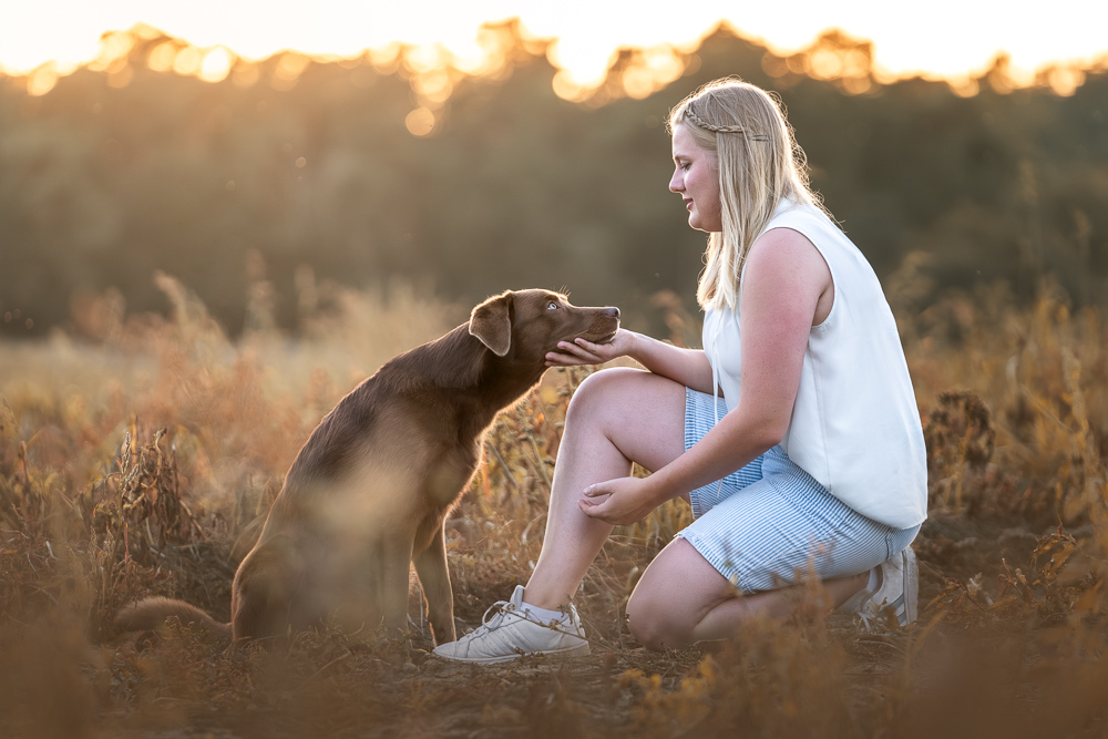 Foto von Lisa Werner Fotografie, Hund und Mensch, Frau sitzt neben einem Labrador im Sonnenuntergang