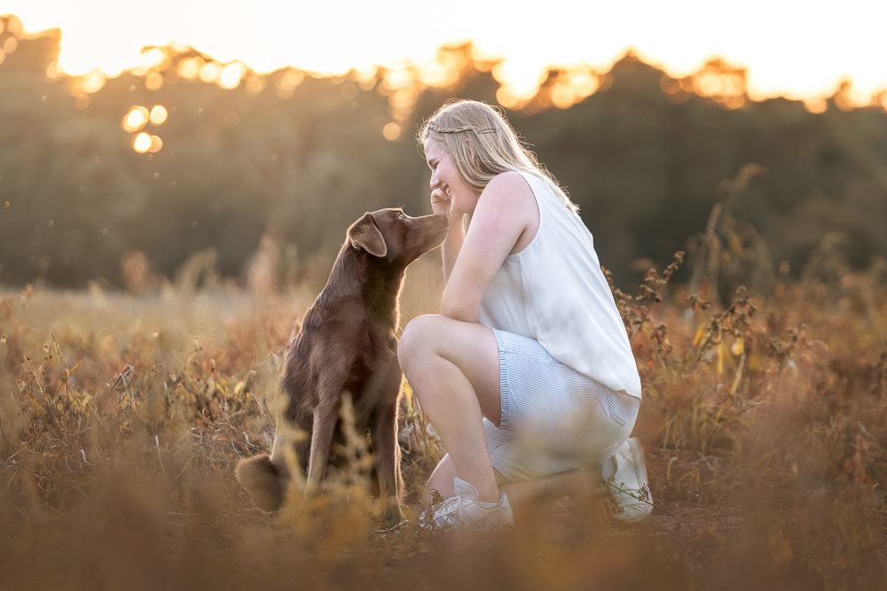 Foto von Lisa Werner Fotografie, Hund und Mensch, Frau sitzt neben einem Labrador im Sonnenuntergang