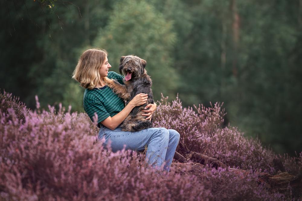 Foto von Lisa Werner Fotografie, Hund und Mensch, Hund und Mädchen sitzen auf einem Baumstamm zwischen lila Heideblüten
