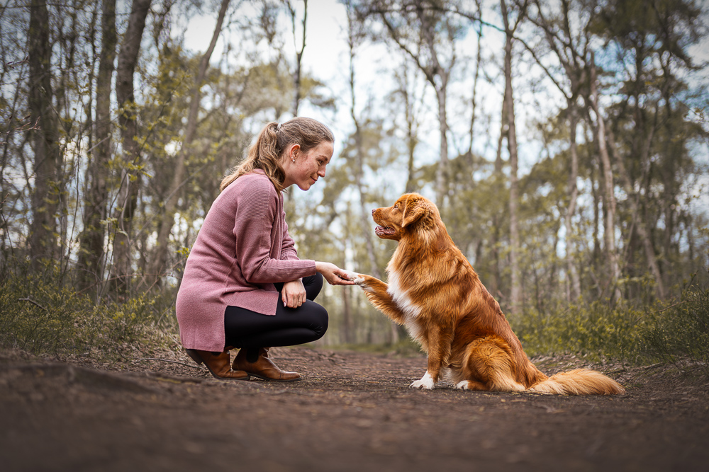 Foto von Lisa Werner Fotografie, Hund und Mensch, Frau und Nova Scotia Duck Tolling Retriever sitzen im Wald