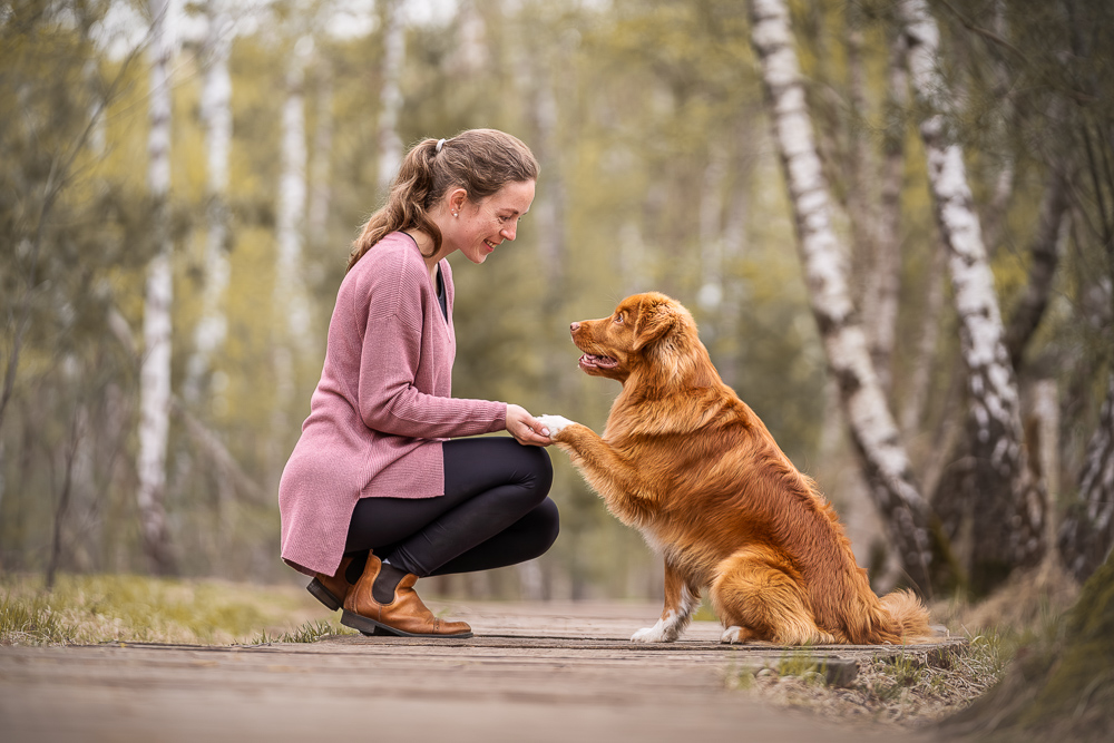 Foto von Lisa Werner Fotografie, Hund und Mensch, Frau und Nova Scotia Duck Tolling Retriever sitzen auf einem Holzweg