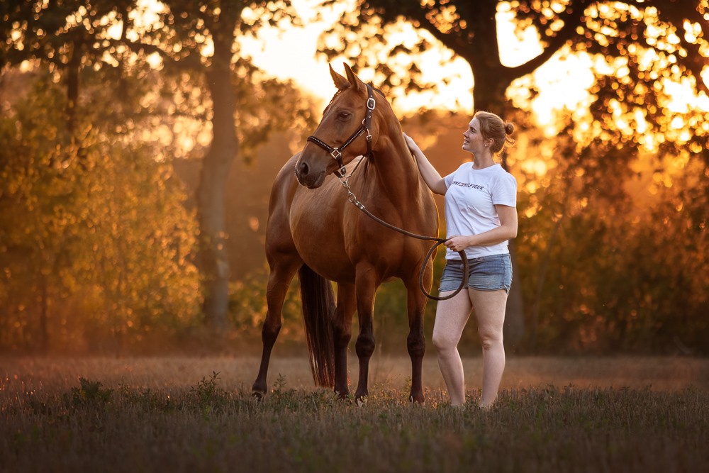 Foto von Lisa Werner Fotografie, Pferd und Mensch, Warmblut und Frau stehen auf einem Feld im Sonnenuntergang