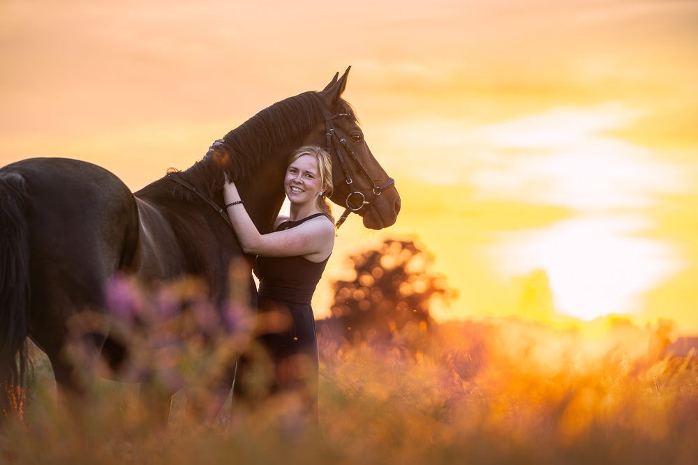 Foto von Lisa Werner Fotografie, Pferd und Mensch, Frau und Warmblut stehen in einem Blumenfeld im Sonnenuntergang
