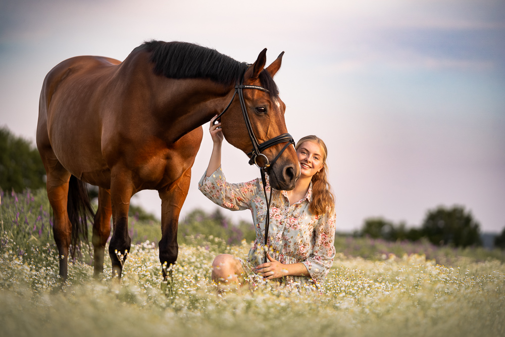 Foto von Lisa Werner Fotografie, Pferd und Mensch, Braunes Pferd steht in einer Blumenwiese, Mädchen sitzt im Kleid daneben