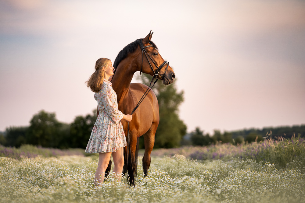 Foto von Lisa Werner Fotografie, Pferd und Mensch, Frau und Warmblut stehen in einem Blumenfeld im Sonnenuntergang