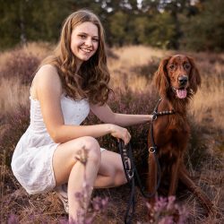Foto von Lisa Werner Fotografie, Hund und Mensch, Frau und Irish Red Setter sitzen in lila Heideblüten im Sonnenuntergang